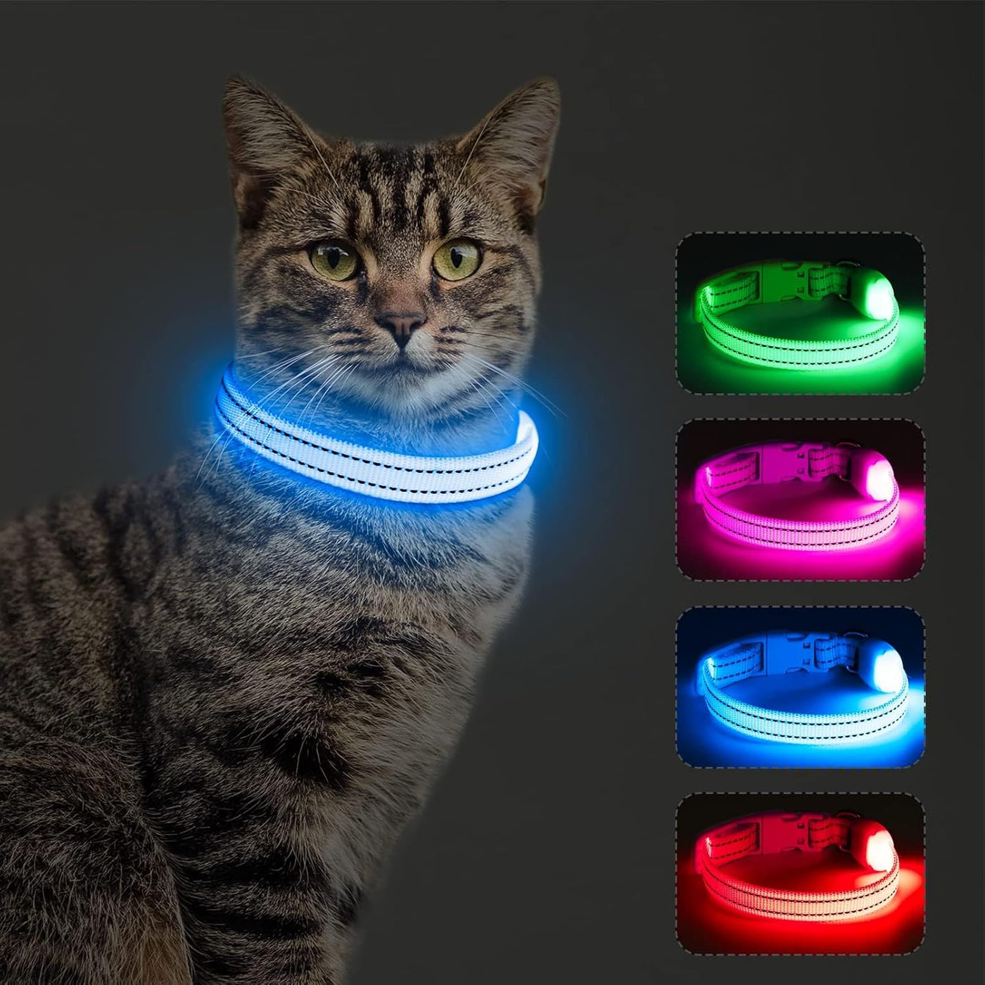 Light up Dog Collars Rechargeable Puppy Collar Lighted Cat Collar Glow in the Dark Dog Lights for Small Dogs & Cats (X-Small, Blue)