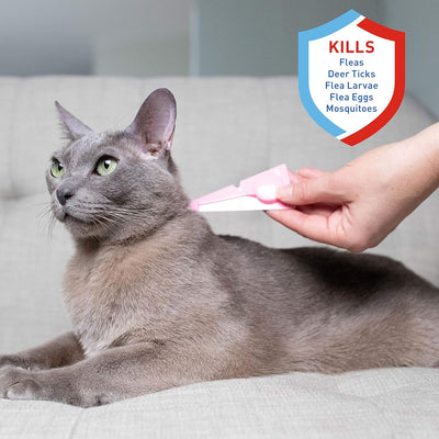 Plus Flea & Tick Spot on for Cats 5 Lbs and Over