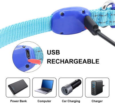 Light up Dog Collars Rechargeable Puppy Collar Lighted Cat Collar Glow in the Dark Dog Lights for Small Dogs & Cats (X-Small, Blue)