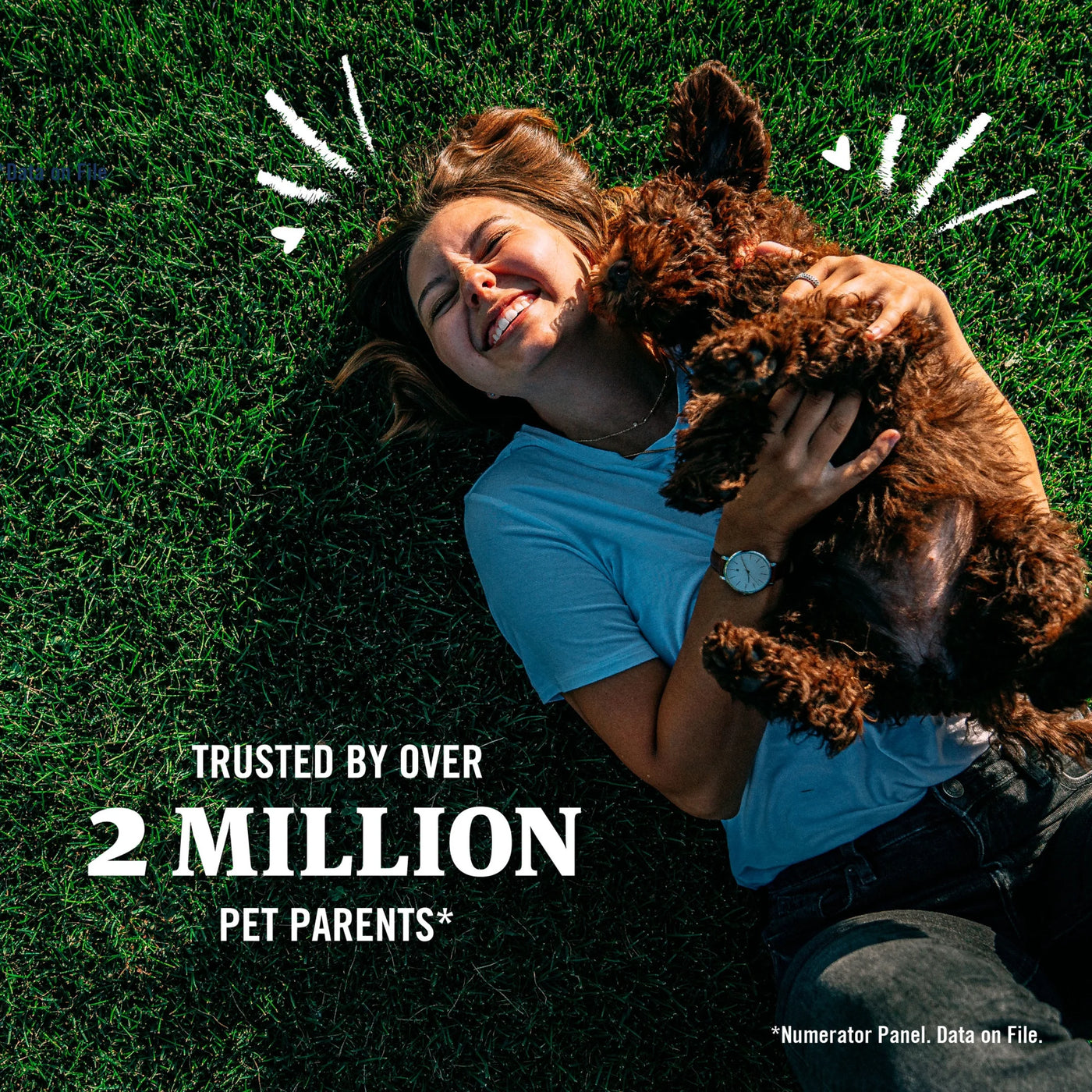 plus for Cats over 1.5 Lbs, Flea & Tick Prevention for Cats, 6-Month Supply