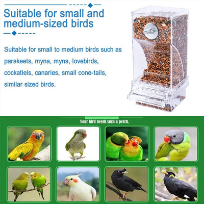 No Mess Bird Cage Feeder 2Pack Automatic Parrot Seed Feeders with Perch Acrylic Transparent Seed Food Container Cage Accessories for Small and Medium Lovebirds Parakeets