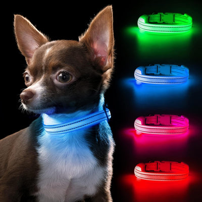 Light up Dog Collars Rechargeable Puppy Collar Lighted Cat Collar Glow in the Dark Dog Lights for Small Dogs & Cats (X-Small, Blue)