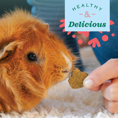 Animal Health Simple Rewards Barley Biscuit Treats, Barley Guinea Pig & Bunny Treats, Pet Snack for Rabbit, Carrot, Apple, Made with  Guinea Pig Hay, Alfalfa for Rabbit, 2.65 Oz Bag