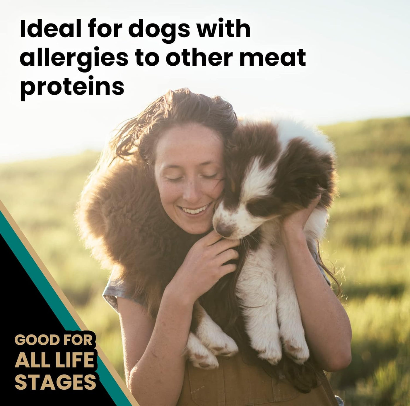 Super Premium Dog Food – Select - Ocean Fish Formula – Gluten Free Dry Dog Food for All Normally Active Dogs of All Life Stages, 5Lbs