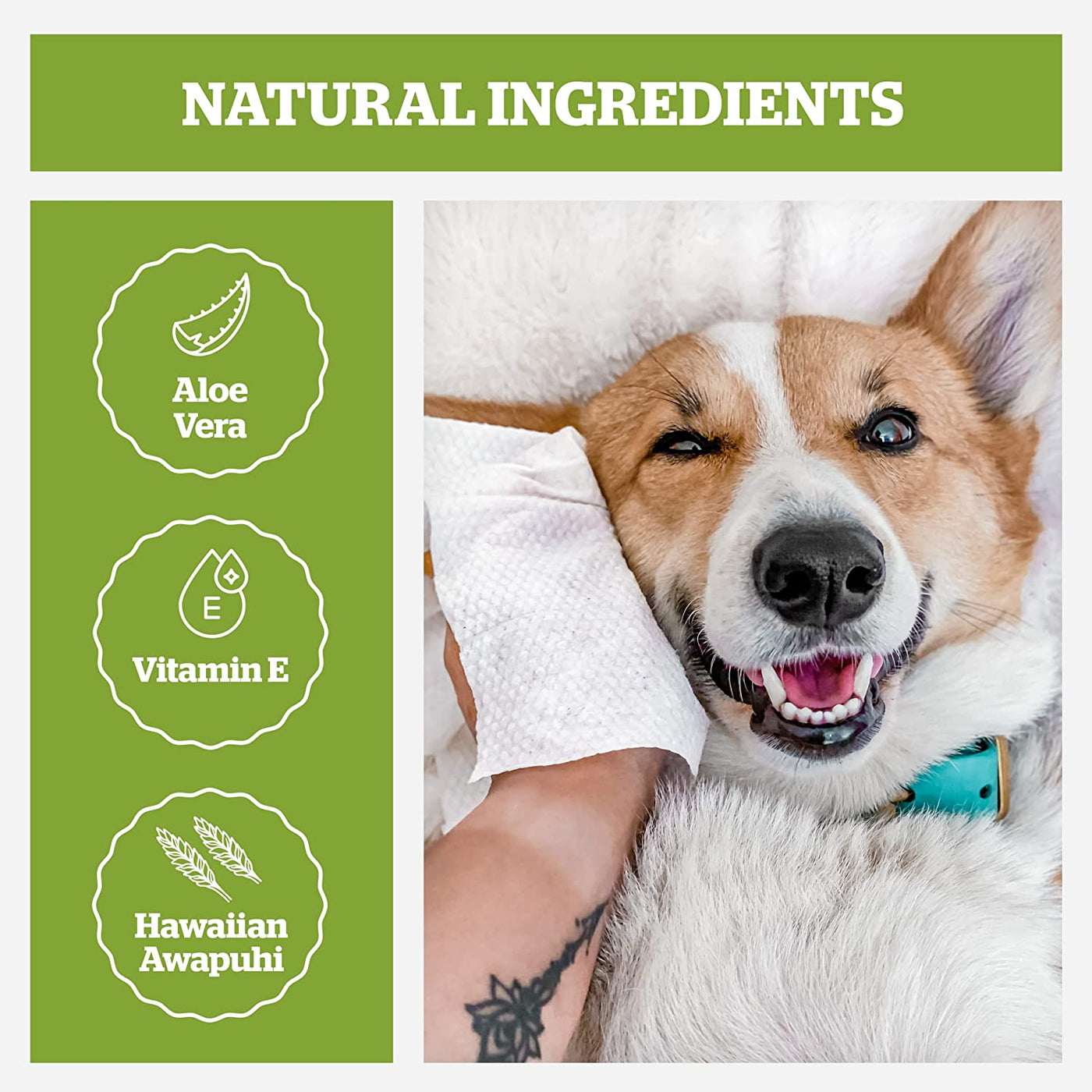 Pogi'S Grooming Wipes - Hypoallergenic Pet Wipes for Dogs & Cats - Plant-Based, Earth-Friendly, Deodorizing Dog Wipes