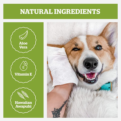 Pogi'S Grooming Wipes - Hypoallergenic Pet Wipes for Dogs & Cats - Plant-Based, Earth-Friendly, Deodorizing Dog Wipes