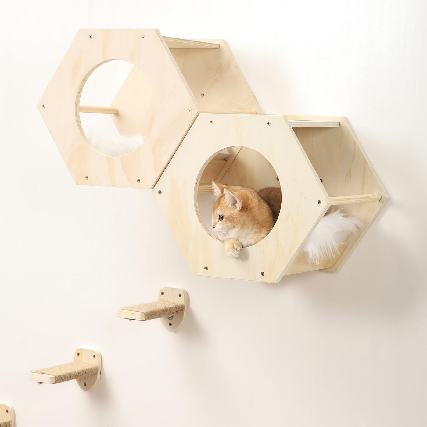 Cat Wall Shelves, Cat Shelves for Wall, Cat Wall Furniture, Cat Shelf with 3 Ste