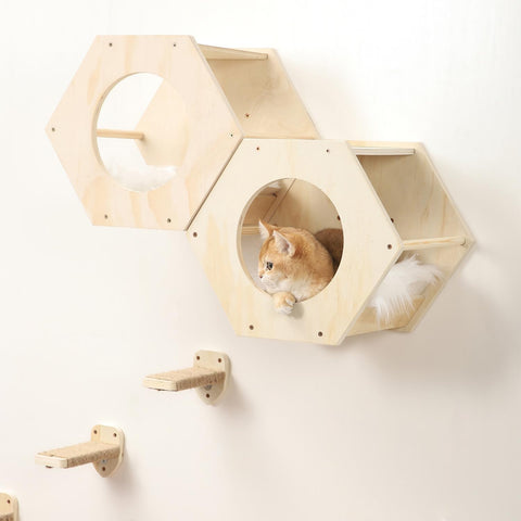 Cat Wall Shelves, Cat Shelves for Wall, Cat Wall Furniture, Cat Shelf with 3 Ste