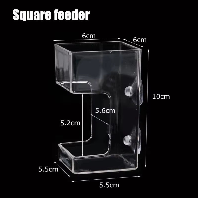Fish Feeders Aquarium Feeding Ring Floating Food Tray Feeder with Suction Cups Transparent Fish Aquatic Pet Supplies
