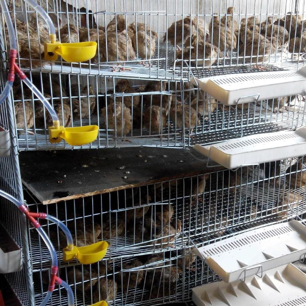 12Pcs Quail Water Cups Pigeon Automatic Bird Waterer for Cage Hang Drinker Breeding Poultry Drinking Bowls(Yellow)