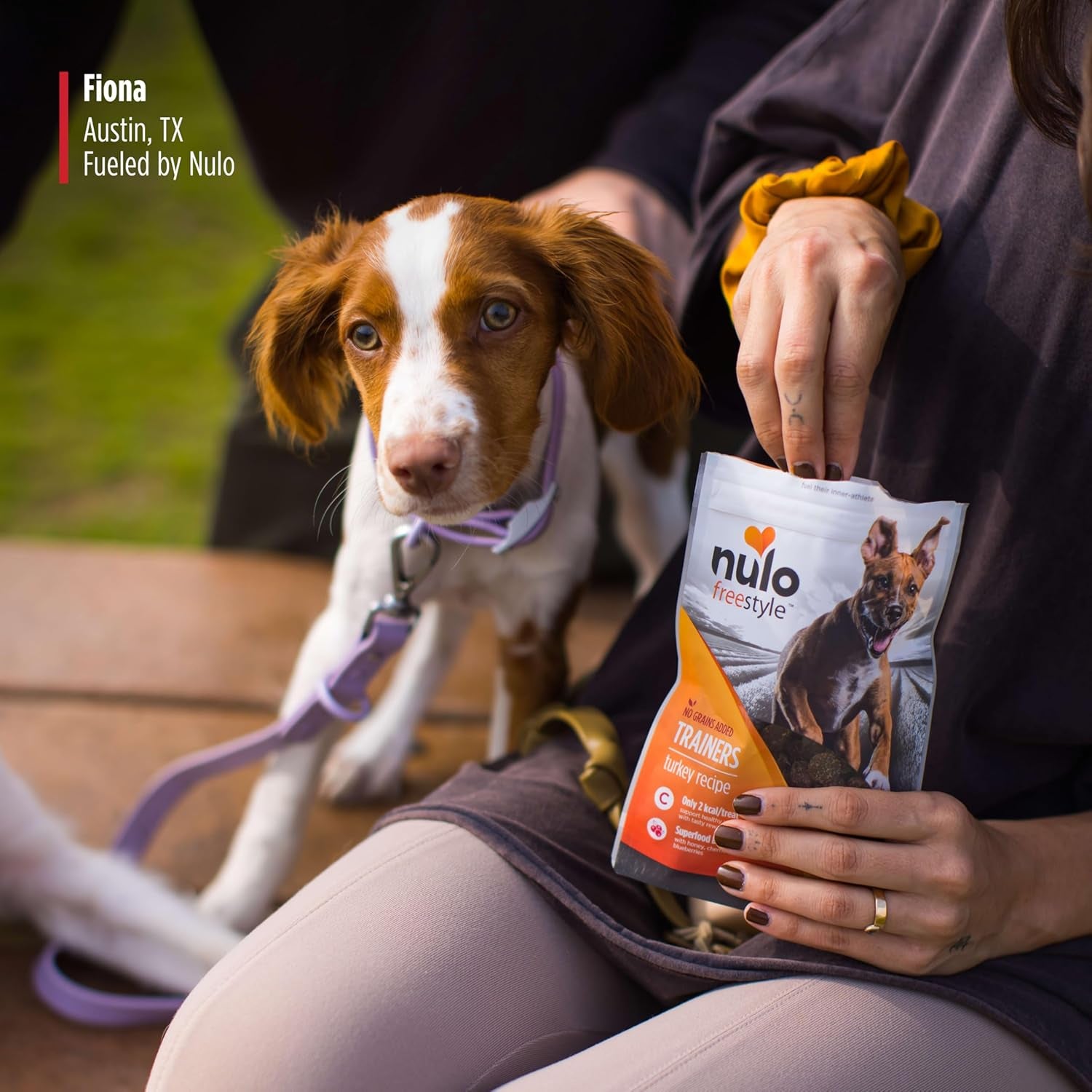 Freestyle Duck Flavor Healthy Dog and Puppy Training Treats, 4 Ounce Pouch
