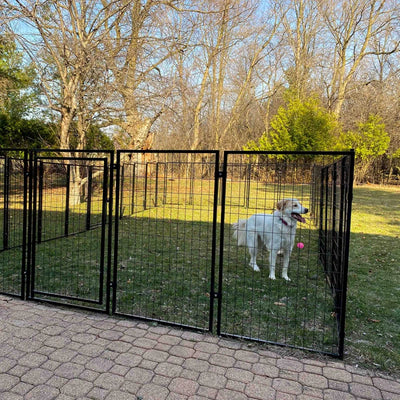 Extra-Large Heavy Duty Dog Kennel Playpen Helena - 16 Panel - 10 X 10 X 4 Feet