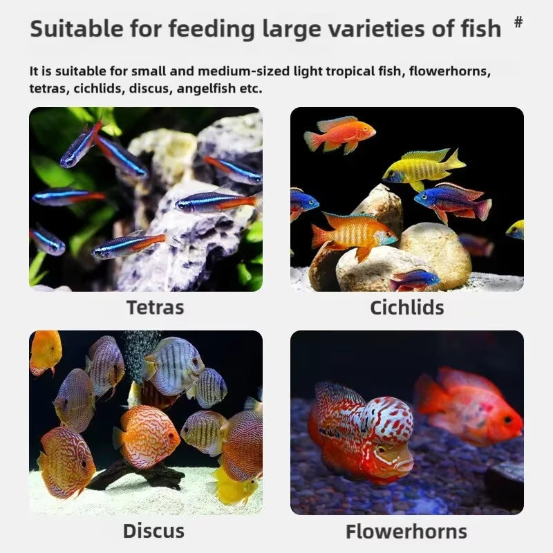 Freeze Dried Tubifex Worms Red Thread Worm Patch Food for Tropical Fish and Amphibians