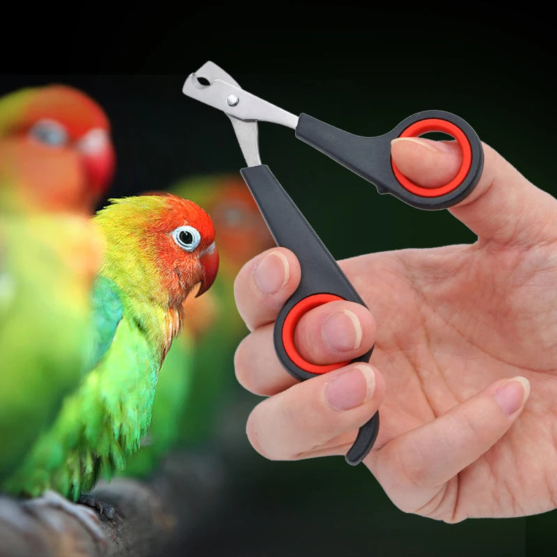 Pet Bird Parrot Small Animals Accessory Grooming Tool Nail Scissors Clipper Black and Red