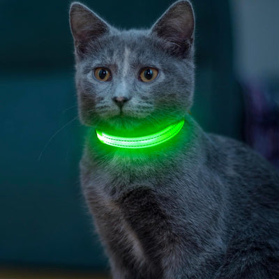 Light up Dog Collar for Small Dog, XS Adjustable Size Nylon Collar USB Rechargeable Bright Safety Pet Collar for Cats Dogs (Green)