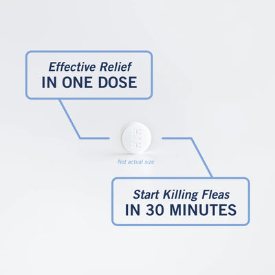 (2 Pack)  CAPACTION Fast-Acting Oral Flea Treatment for Cats 2-25 Lbs, 6 Count, 11.4 Mg