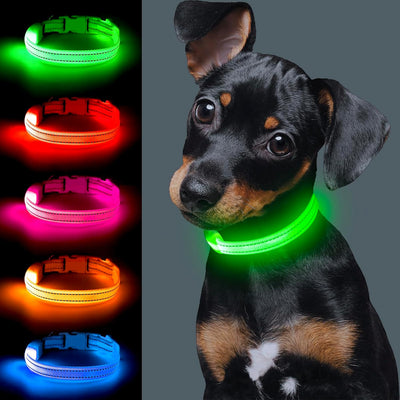 Light up Dog Collar for Small Dog, XS Adjustable Size Nylon Collar USB Rechargeable Bright Safety Pet Collar for Cats Dogs (Green)