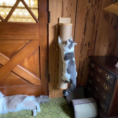 Wall-Mounted Cat Scratching Rope Jute Cats Climbing Shelves Jumping Platform & Pedal for Cats Sleeping Cat Furniture Pet Toys