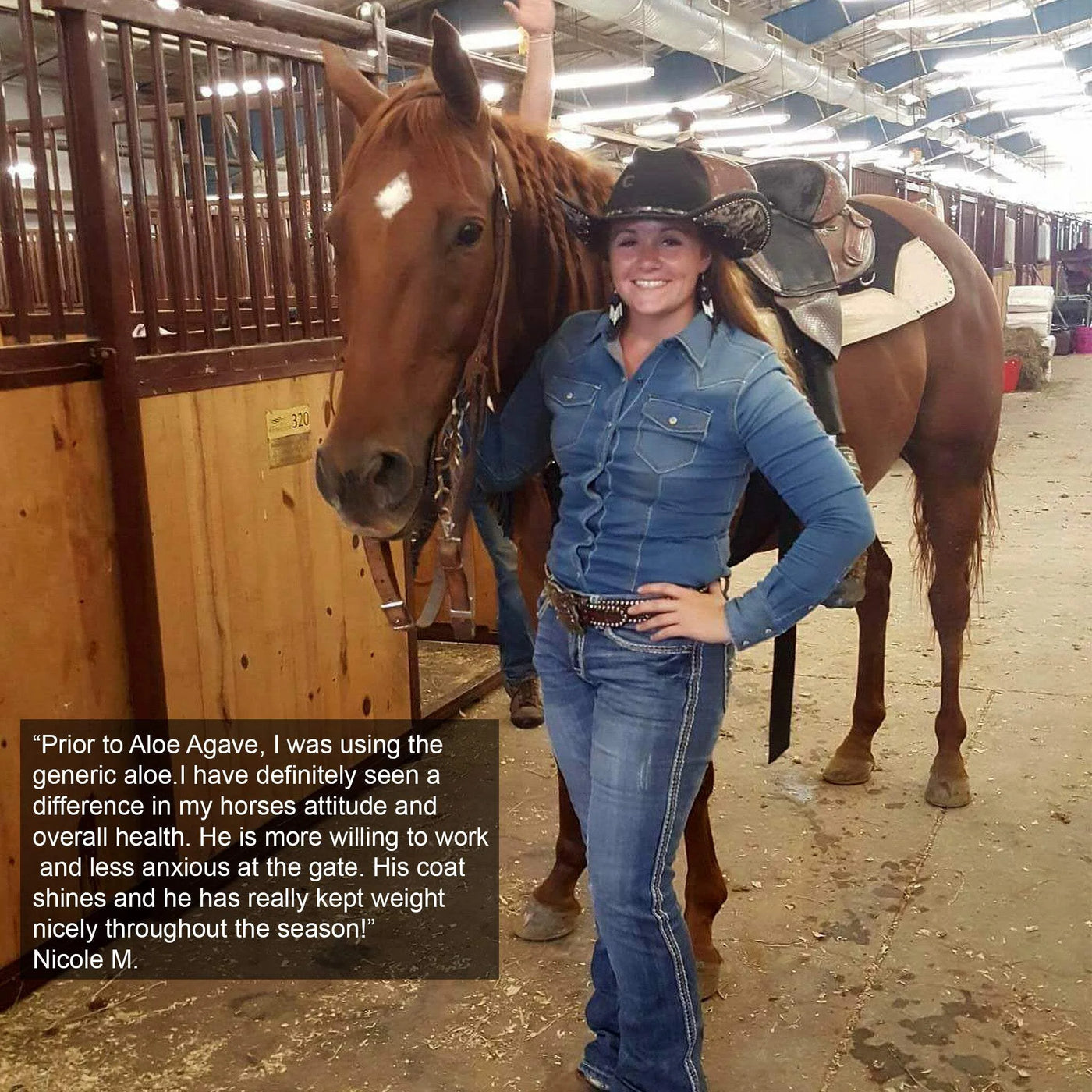 Aloe-Agave Supplement for Horses and Other Large Animals by Doc Hoag'S