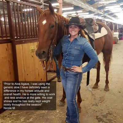 Aloe-Agave Supplement for Horses and Other Large Animals by Doc Hoag'S