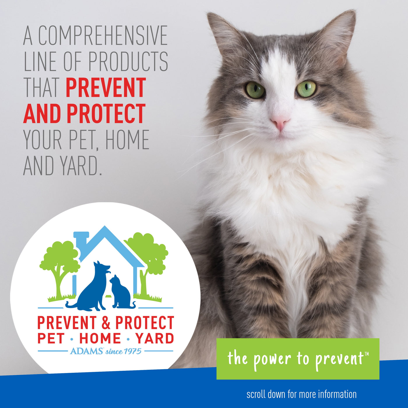 (2 Pack)  Flea and Tick Spray for Cats, 16 Ounces