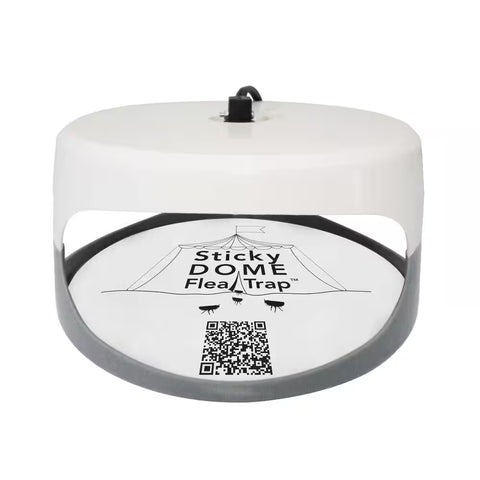 Sticky Dome Flea Trap