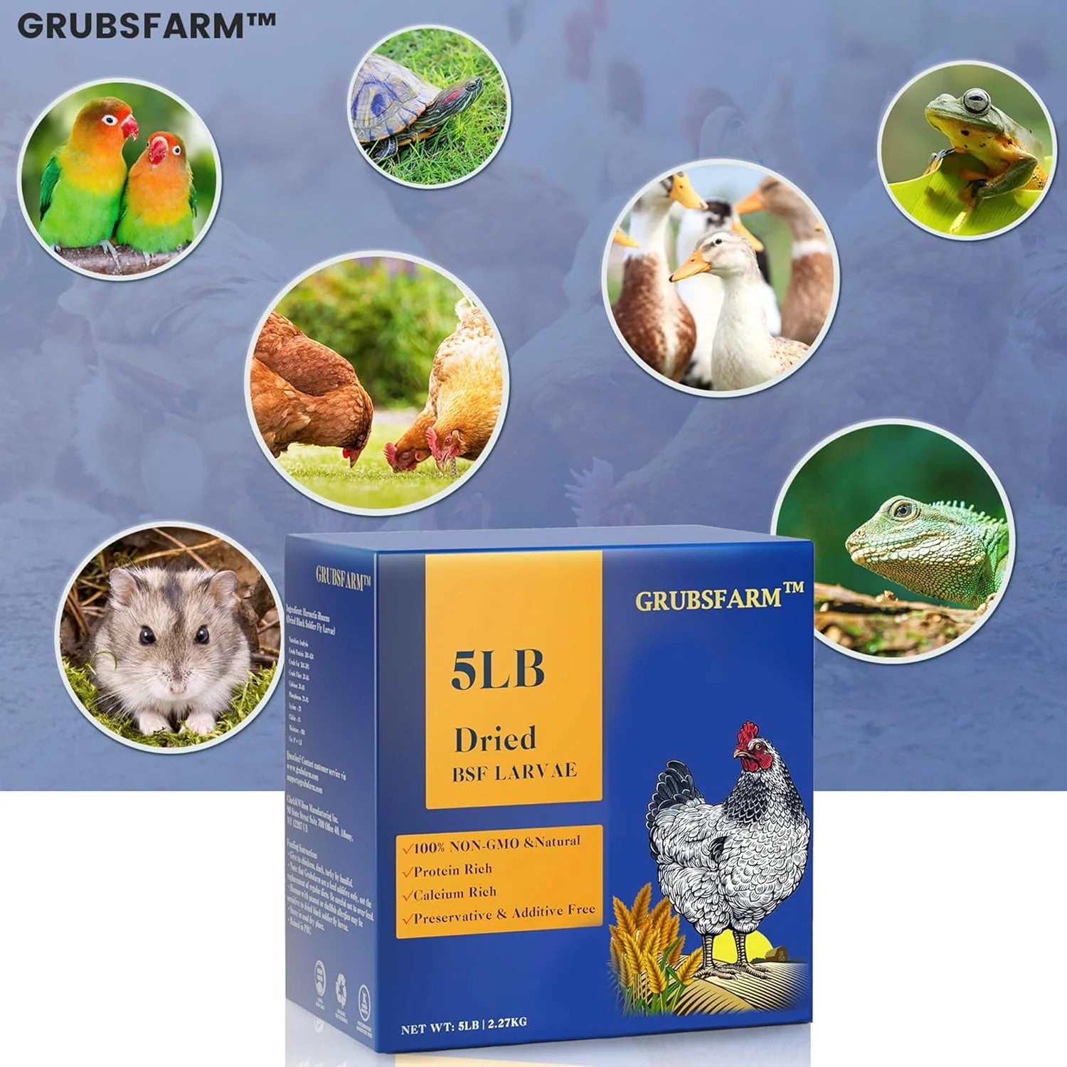 Black Soldier Fly Larvae 5LB, 100% Natural Non-Gmo Molting & Laying Supplement for Hens