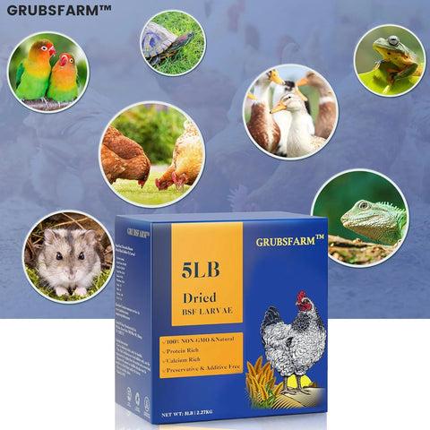 Black Soldier Fly Larvae 5LB, 100% Natural Non-Gmo Molting & Laying Supplement for Hens