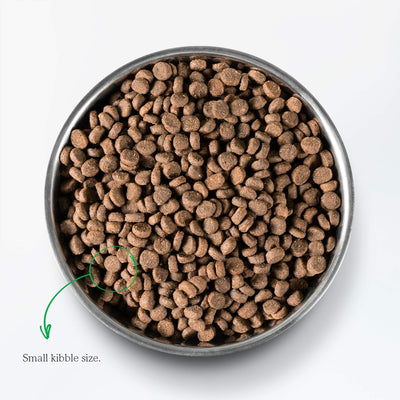 , Grain Free Dry Cat Food, High-Protein Kibble for a Complete & Balanced Diet, Non-Gmo Fruits & Vegetables, Prebiotic Fibers to Support Digestion, Pasture-Raised Lamb Recipe, 4Lb Bag