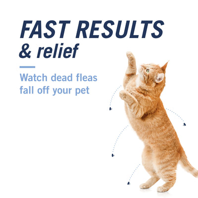 (2 Pack)  CAPACTION Fast-Acting Oral Flea Treatment for Cats 2-25 Lbs, 6 Count, 11.4 Mg