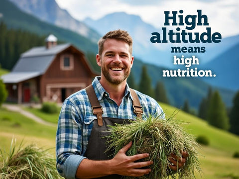 | Fresh Timothy Hay (25 Pounds) | Great for All Ages | High-Altitude Hay Pet Food for Rabbits, Guinea Pigs, Chinchillas, Hamsters, and Other Small Pets