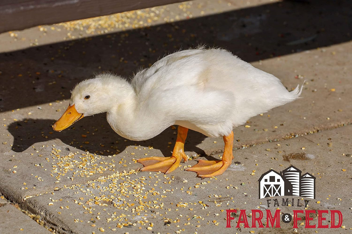 | Four Seasons | Cracked Corn | Wild Bird Food | Backyard Songbird | 4 Pounds