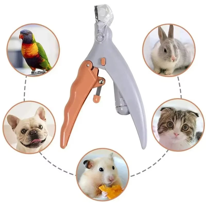 Professional Pet Nail Clipper Scissors with LED Light Cat Dog Nail Clippers Tool Scissors Nail Toeclaw Cutter Scissors Pet Suppl